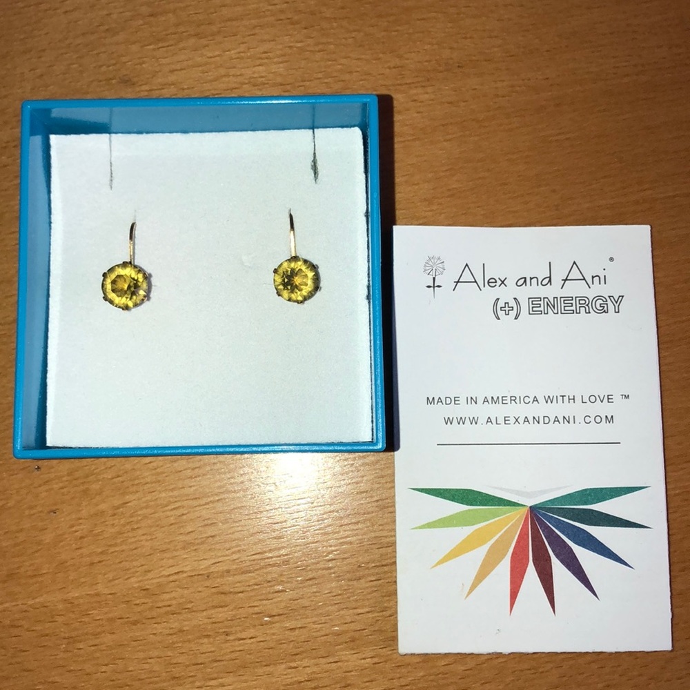 Alex and Ani 14k gold 8mm earrings